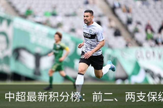中超最新积分榜：前二、两支保级队均差6分，争冠、降级或下轮同时决出
