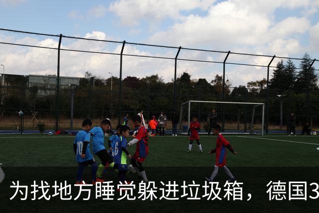为找地方睡觉躲进垃圾箱，德国37岁流浪汉被卷入垃圾车身亡