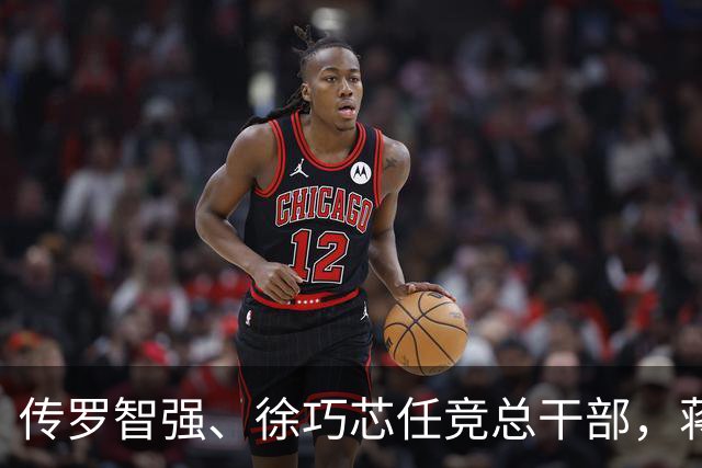 传罗智强、徐巧芯任竞总干部，蒋万安：“台北队”就是团体作战