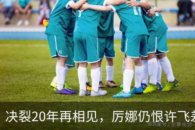 决裂20年再相见，厉娜仍恨许飞差点打起来，马天宇大哭质问张萌