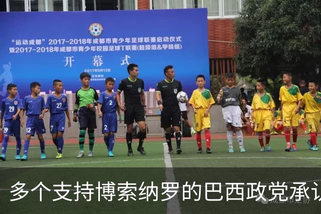多个支持博索纳罗的巴西政党承认卢拉胜选