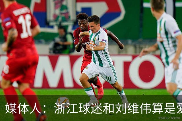媒体人：浙江球迷和刘维伟算是爱之深恨之切 这些年一直恩怨不断