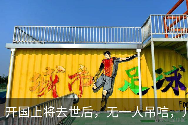 开国上将去世后，无一人吊唁，儿子：没想到死后，反倒进了医院