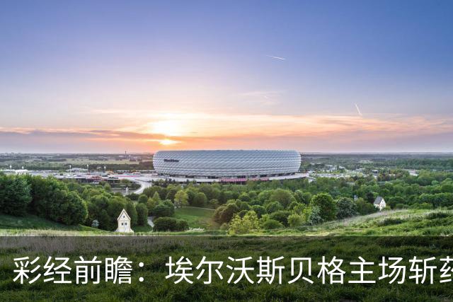 彩经前瞻：埃尔沃斯贝格主场斩药厂，客队防线有隐患，看好主不败