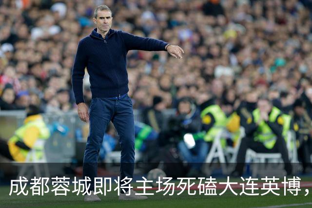 成都蓉城即将主场死磕大连英博，俱乐部或提前做出重要决定