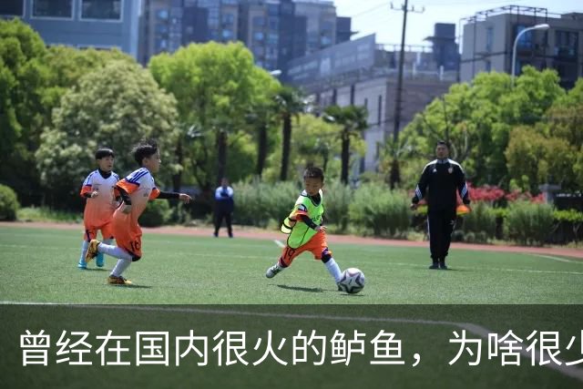 曾经在国内很火的鲈鱼，为啥很少人吃了，鱼贩子：4大原因影响大