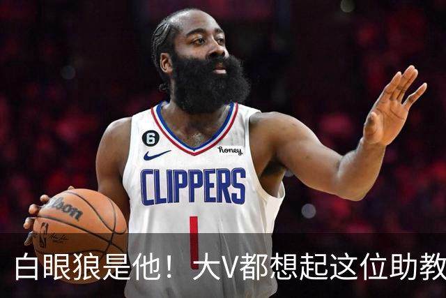 白眼狼是他！大V都想起这位助教 把鲁能告上法庭