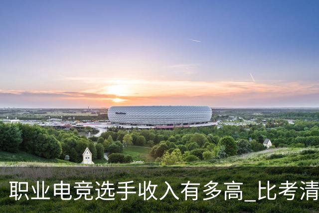 职业电竞选手收入有多高 比考清华北大还难