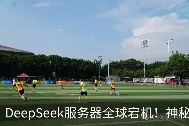 DeepSeek服务器全球宕机！神秘Harness账号同时现身