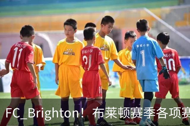 FC Brighton！布莱顿赛季各项赛事攻入34球，仅次于巴萨拜仁